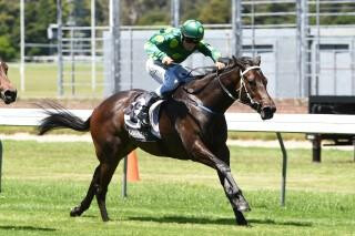 Gift of Power (NZ) winning the Wellington Seamarket Wakefield Challenge Stakes. Photo: Race Images. 